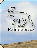 Reindeer.cz